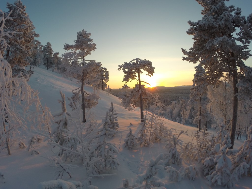 Alpland Lapland winter wonderland