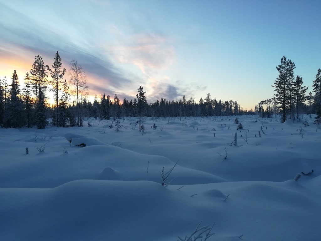 Alpland Lapland sunset winter