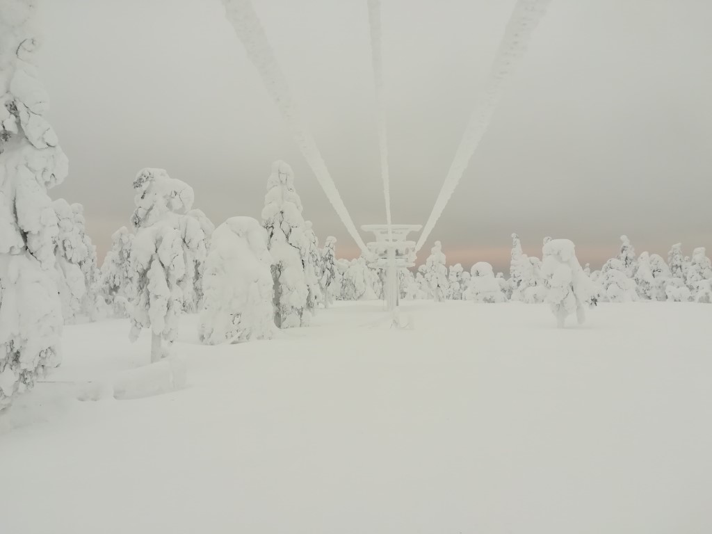 Alpland Lapland winter nature forest