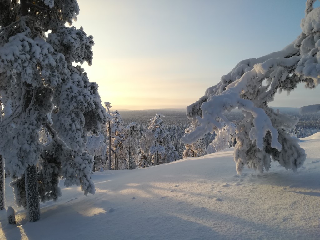 Alpland Lapland winter magic