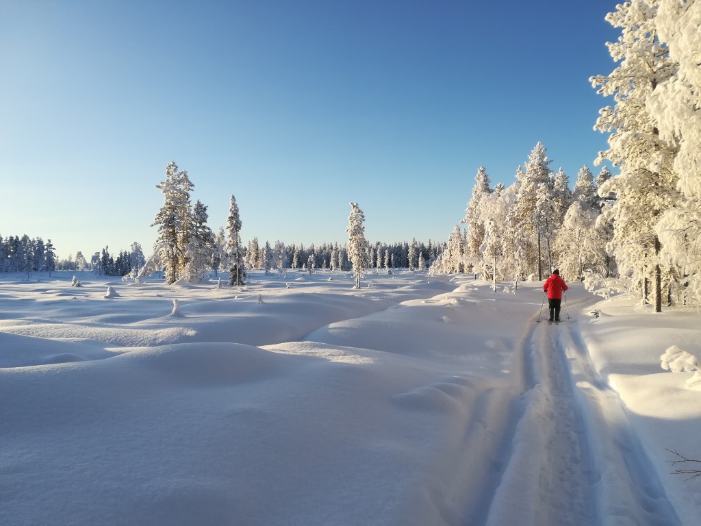 Alpland Lapland snowshoeing
