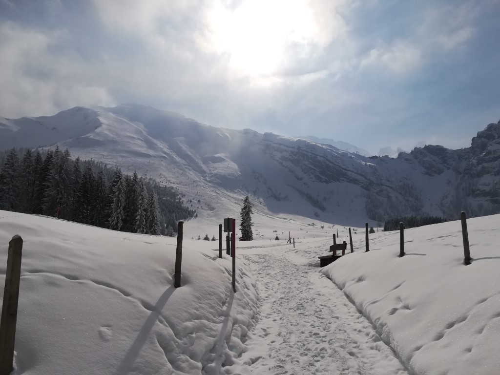 Alpland Switzerland Gerschnialp winter