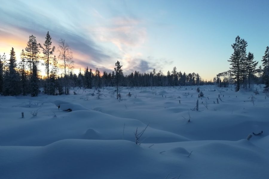 Alpland Lapland winter snow