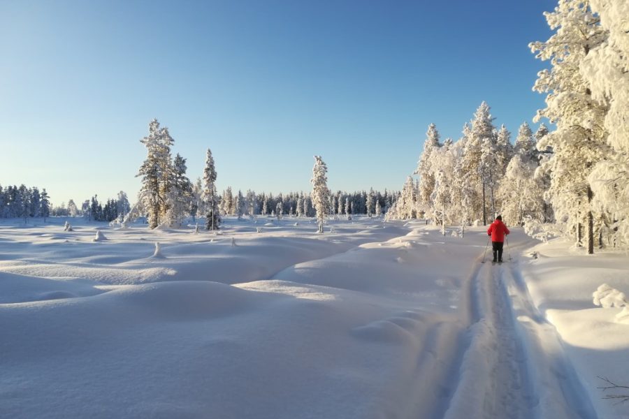 Alpland Lapland winter snowshoe
