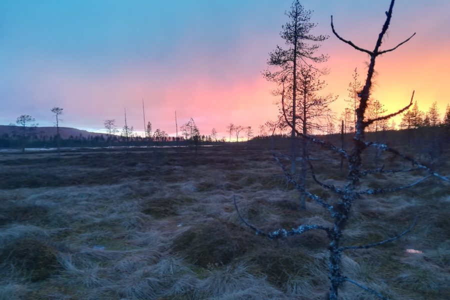 Alpland Lapland midnight sun