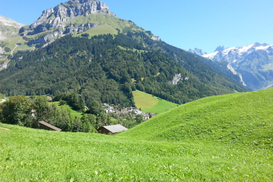 Alpland Switzerland Hahnen