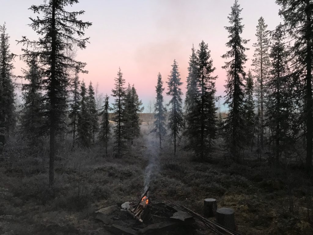 A darkening evening in Lapland during October
